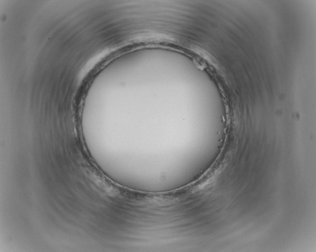 X0000074931022200609291752