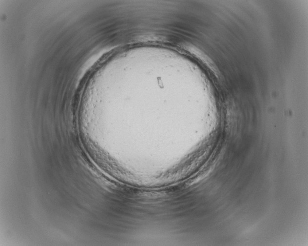 X0000074931023200609291752