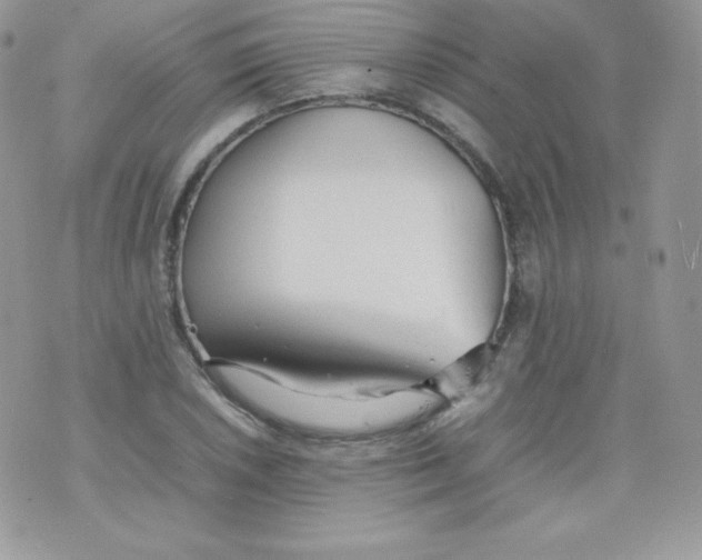 X0000074931026200609291752