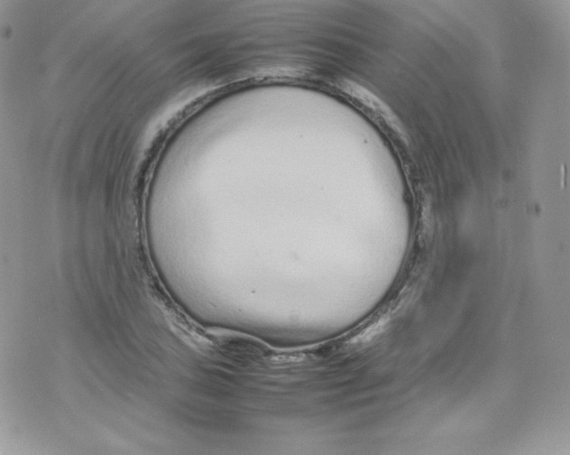 X0000074931027200609291752