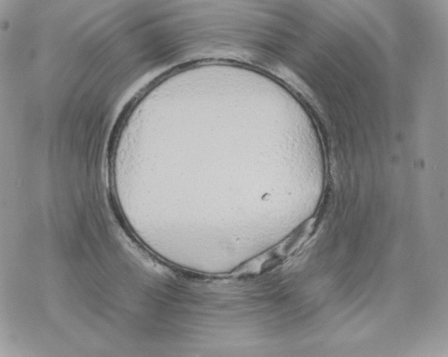 X0000074931028200609291752