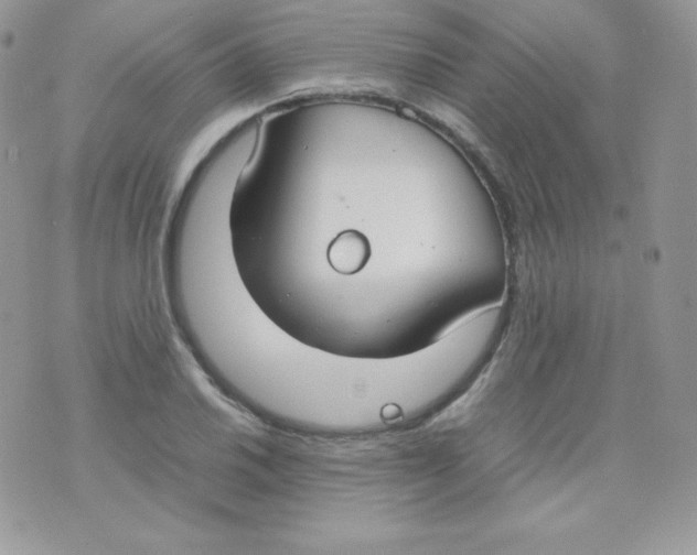 X0000074931030200609291752