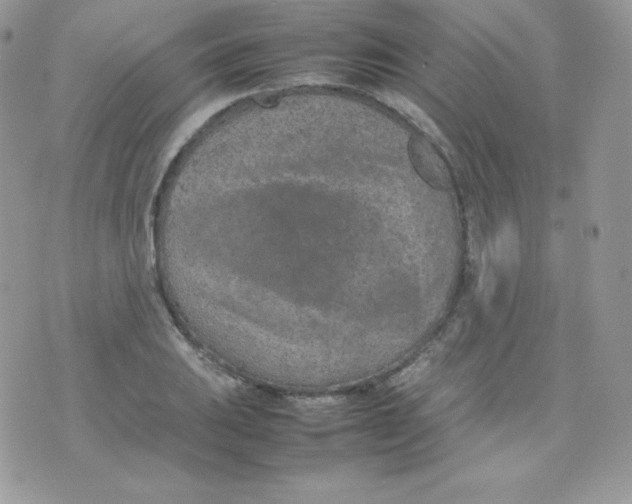 X0000074931031200609291752