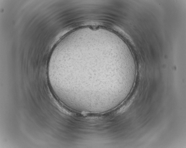 X0000074931033200609291752