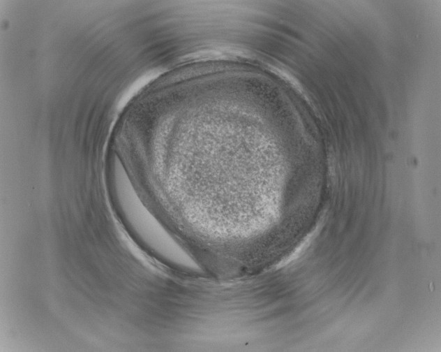 X0000074931034200609291752