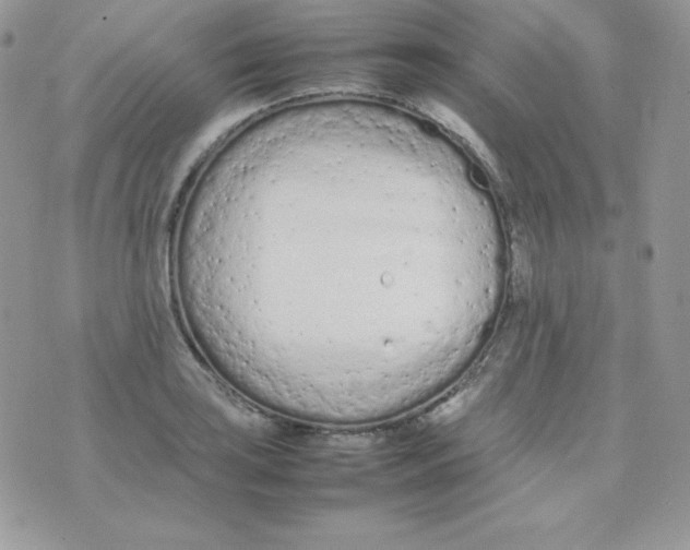 X0000074931035200609291752