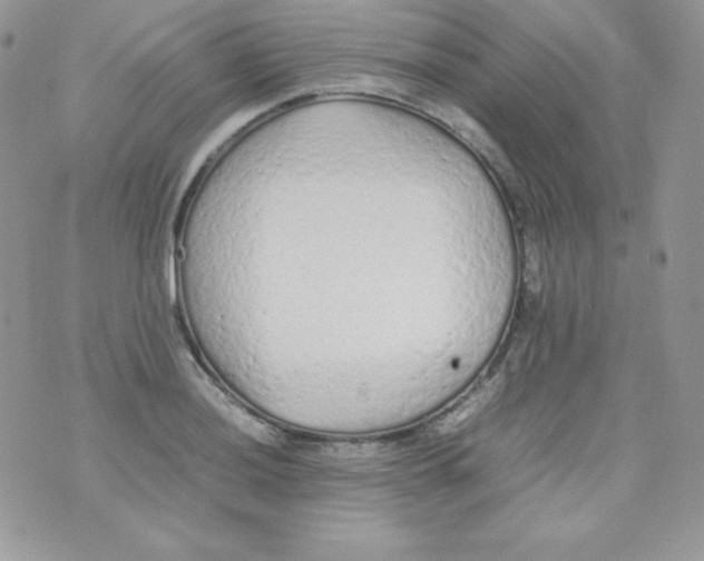 X0000074931036200609291752