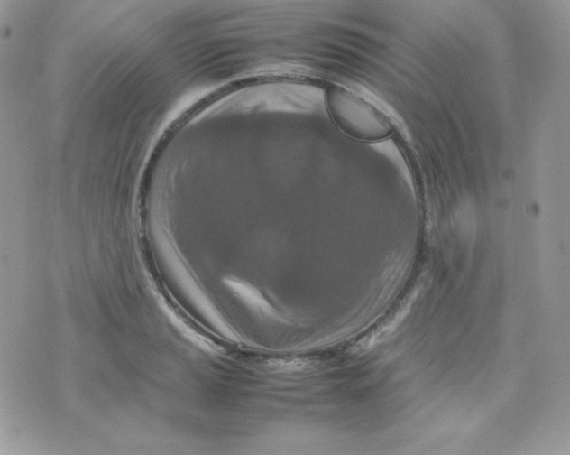 X0000074931037200609291752