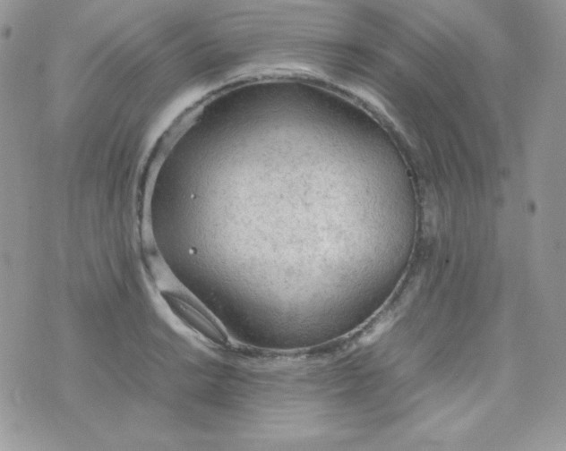 X0000074931038200609291752