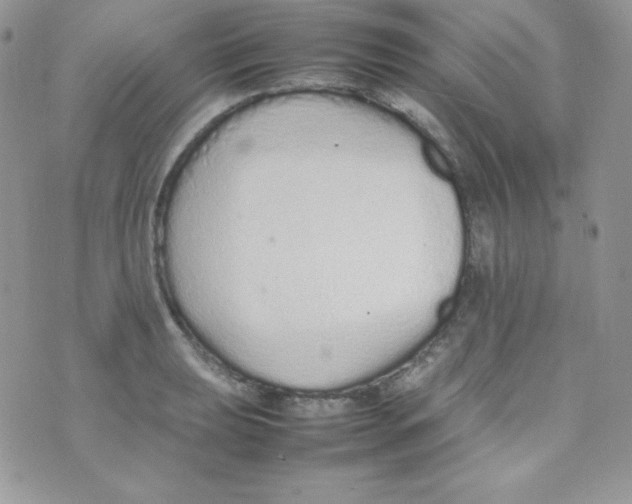 X0000074931039200609291752