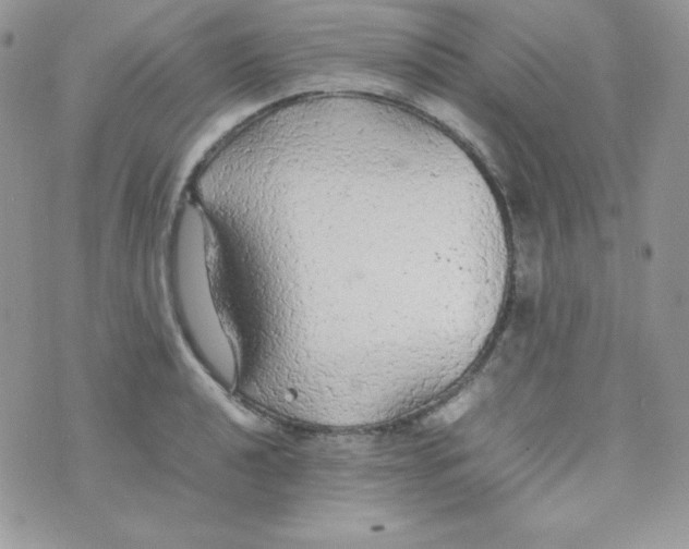 X0000074931040200609291752