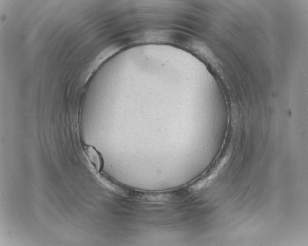 X0000074931041200609291752