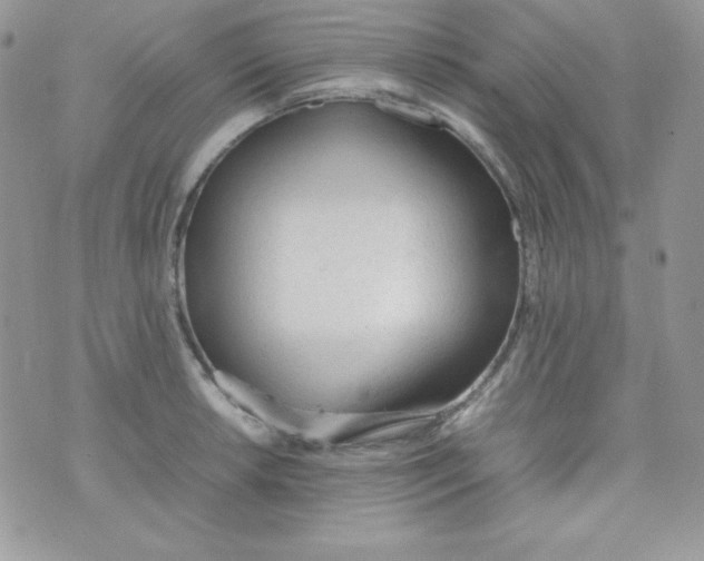 X0000074931042200609291752