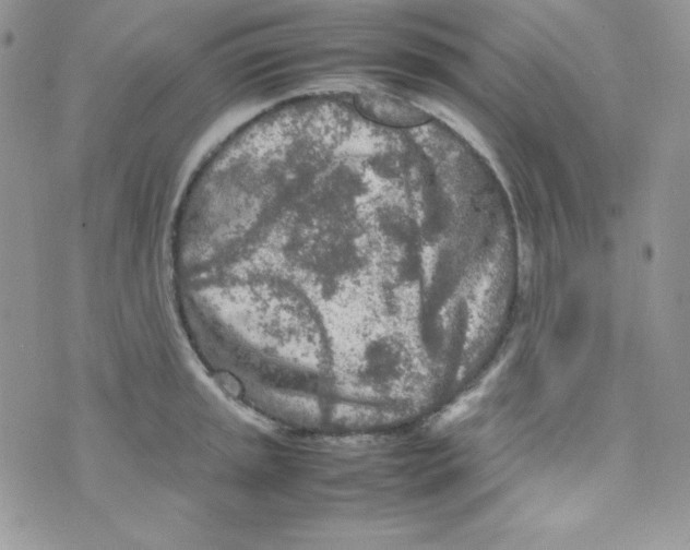 X0000074931045200609291752