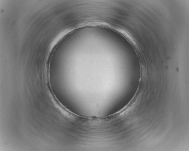 X0000074931046200609291752