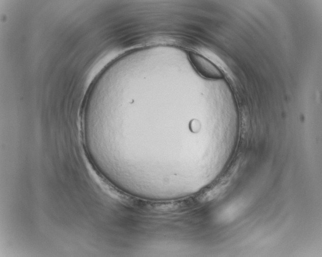 X0000074931047200609291752