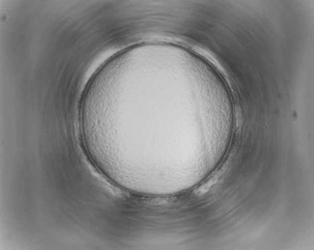 X0000074931048200609291752