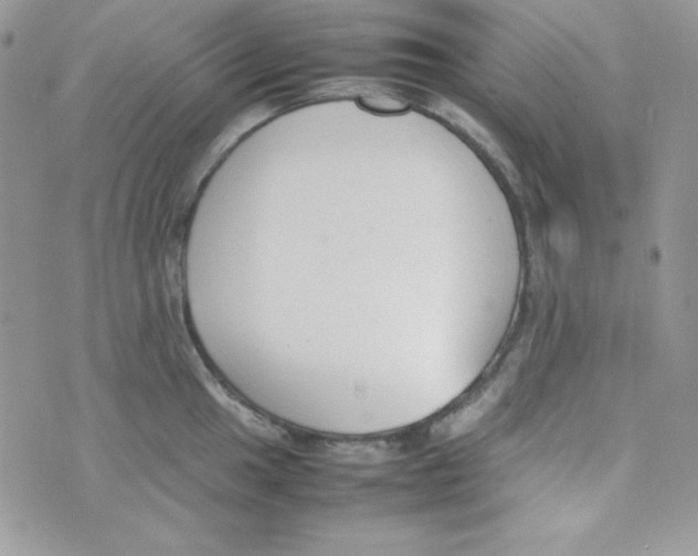 X0000074931049200609291752