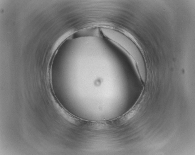 X0000074931050200609291752