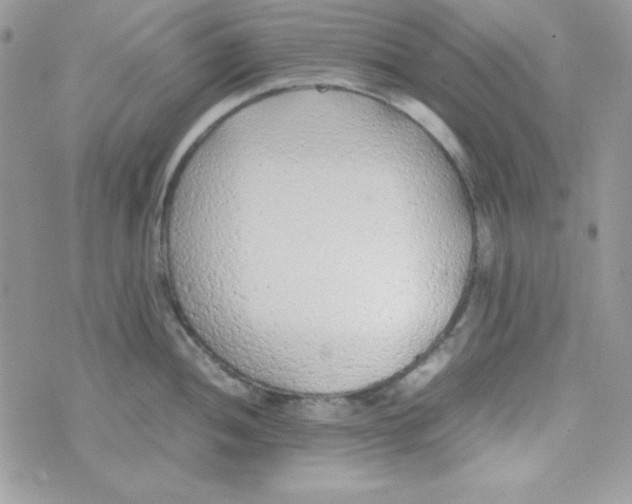 X0000074931052200609291752