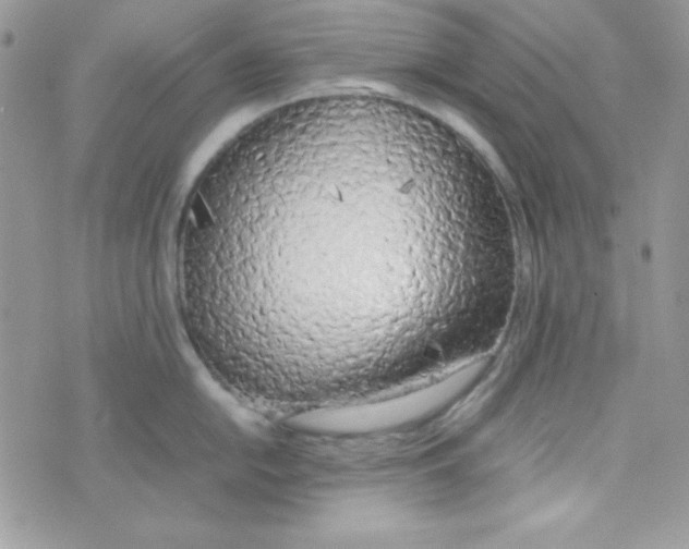 X0000074931054200609291752