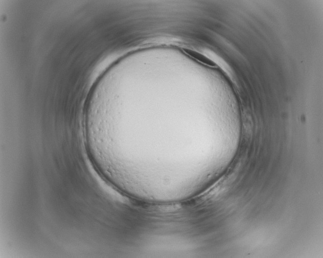 X0000074931055200609291752