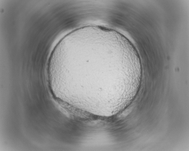 X0000074931056200609291752