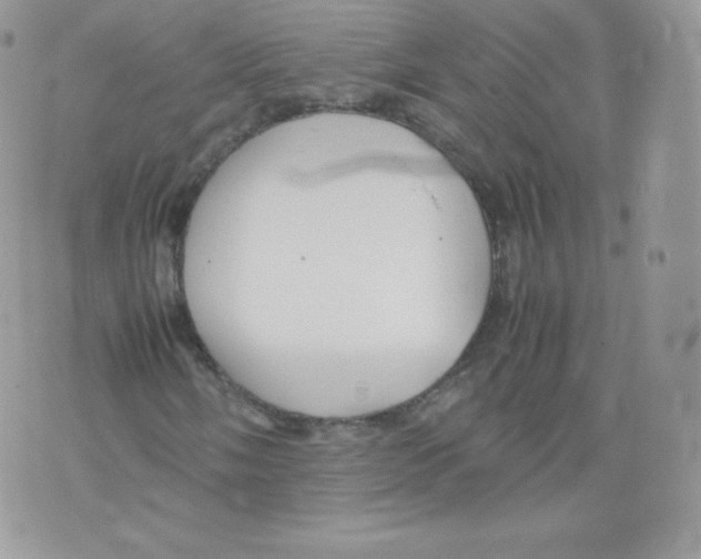 X0000074931058200609291751