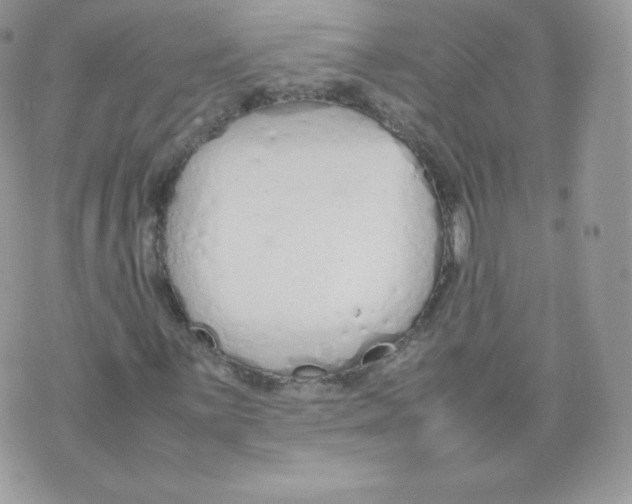 X0000074931059200609291751