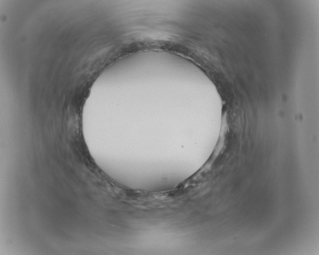 X0000074931061200609291751