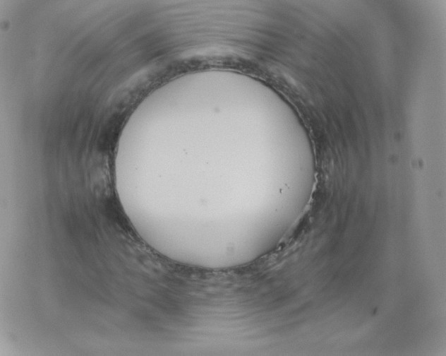 X0000074931062200609291751