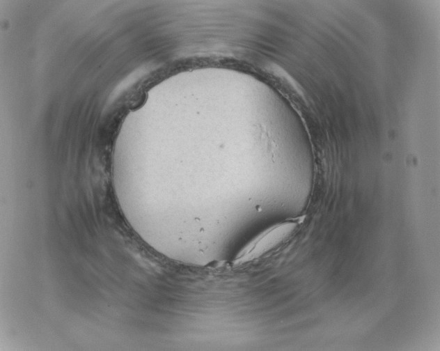 X0000074931064200609291751