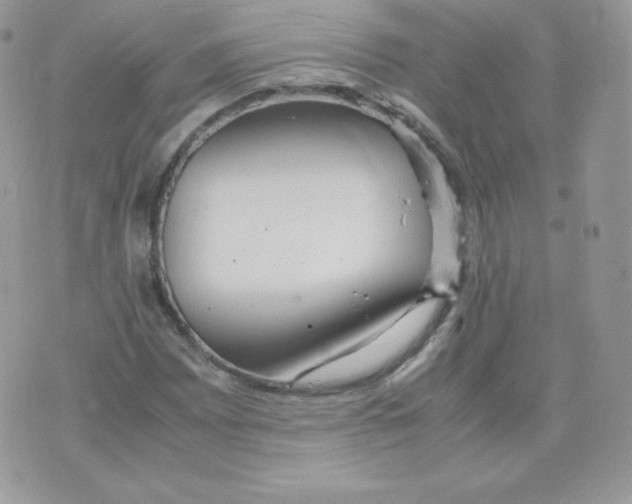 X0000074931065200609291751