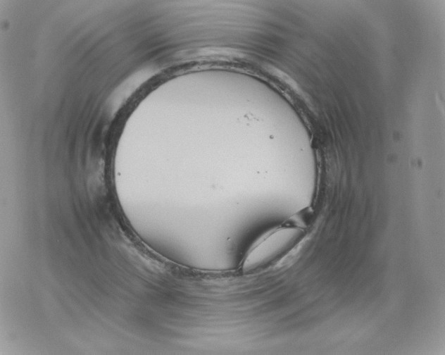 X0000074931066200609291751