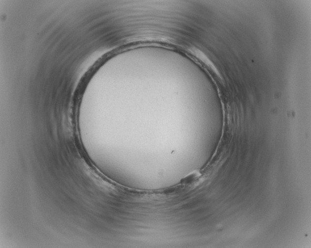 X0000074931068200609291751