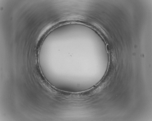 X0000074931069200609291751