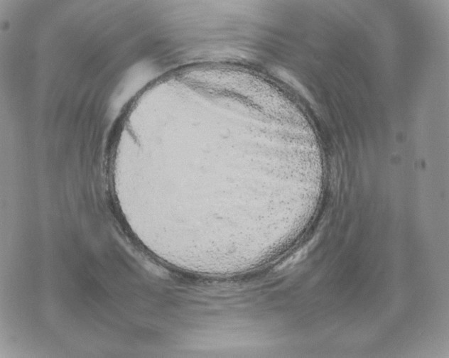 X0000074931071200609291751