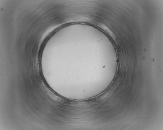 X0000074931072200609291751