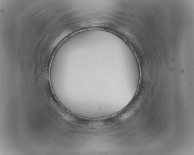 X0000074931073200609291751