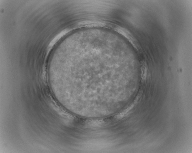 X0000074931074200609291751