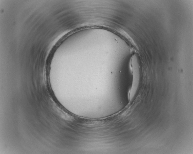 X0000074931076200609291751