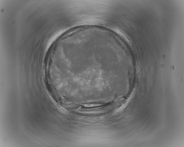 X0000074931077200609291751