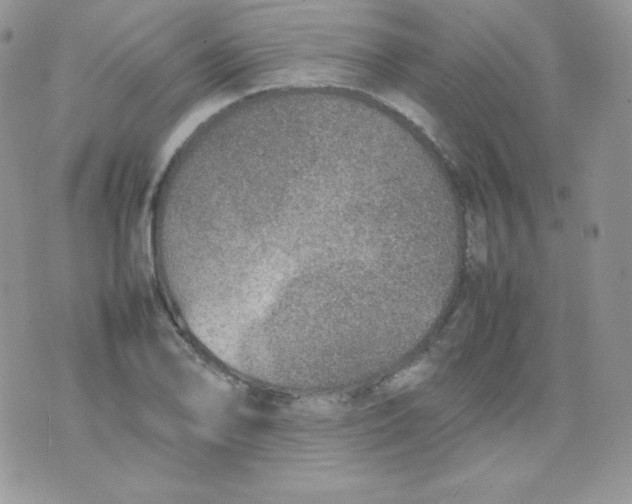 X0000074931078200609291751