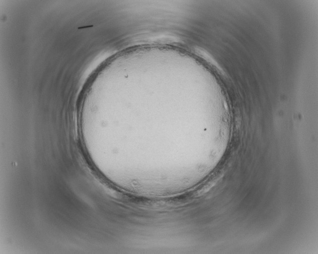 X0000074931079200609291751