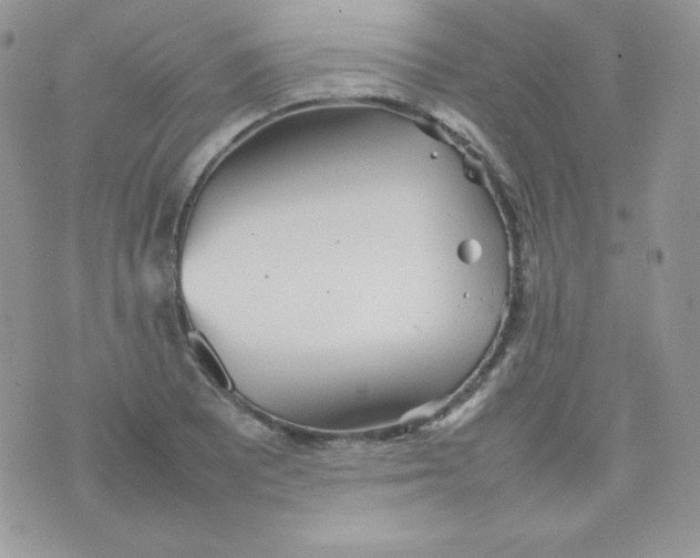 X0000074931081200609291751