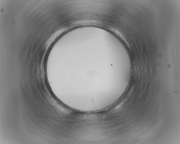 X0000074931082200609291751