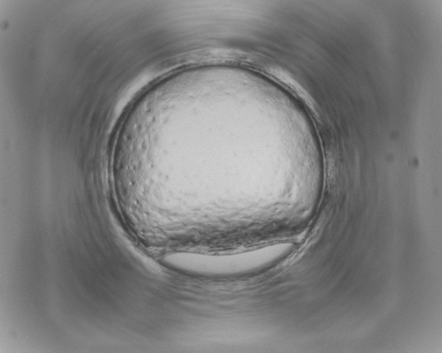 X0000074931083200609291751