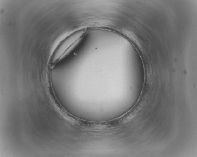 X0000074931085200609291751