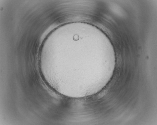 X0000074931086200609291751