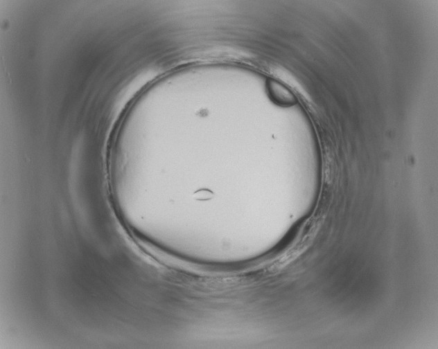 X0000074931087200609291751